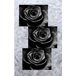 Black Roses